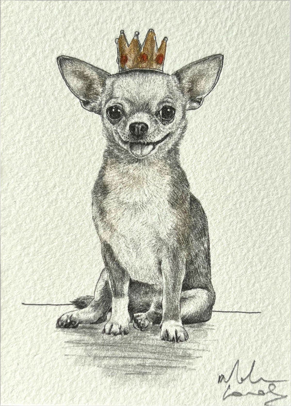 Chihuahua