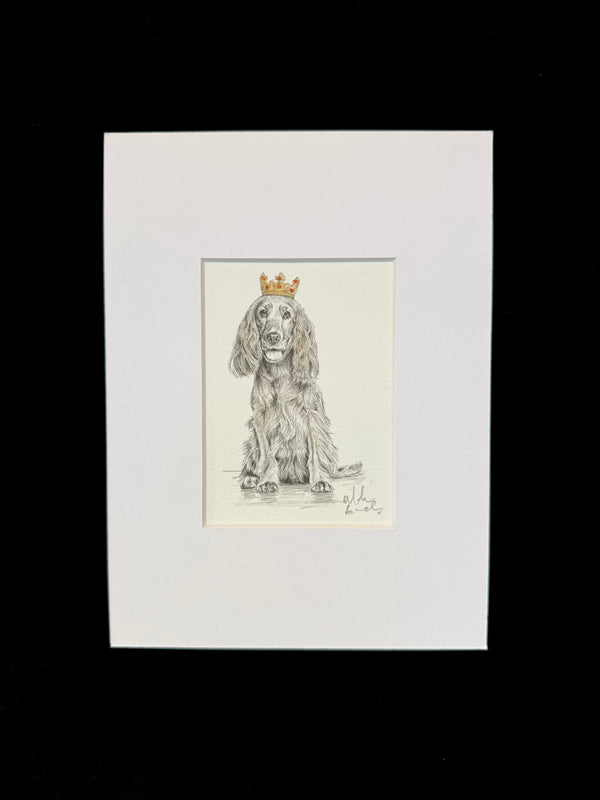 Cocker Spaniel