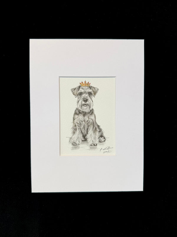 Schnauzer