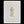 Bichon Frise