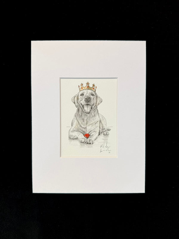 Labrador