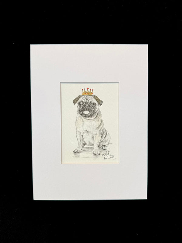 Pug