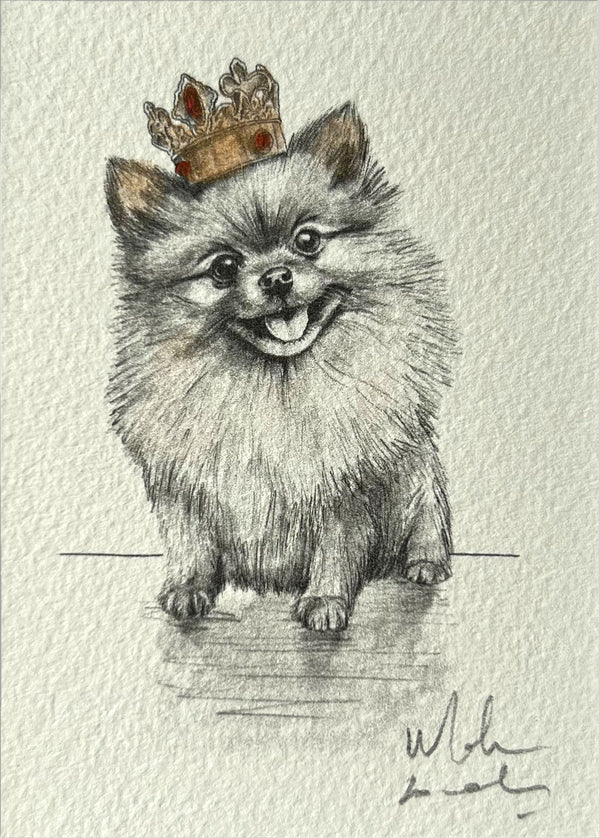 Pomeranian