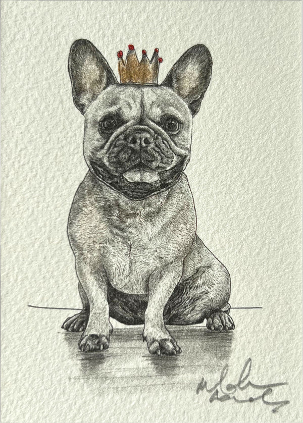 French Bulldog