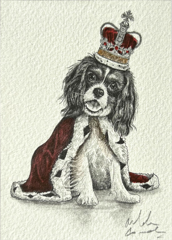 Cavalier King Charles Spaniel