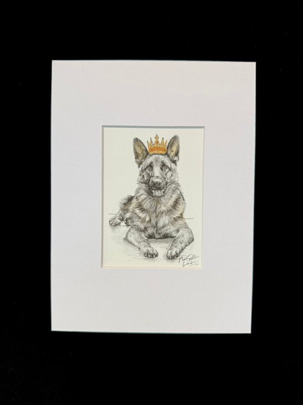 German Shepard