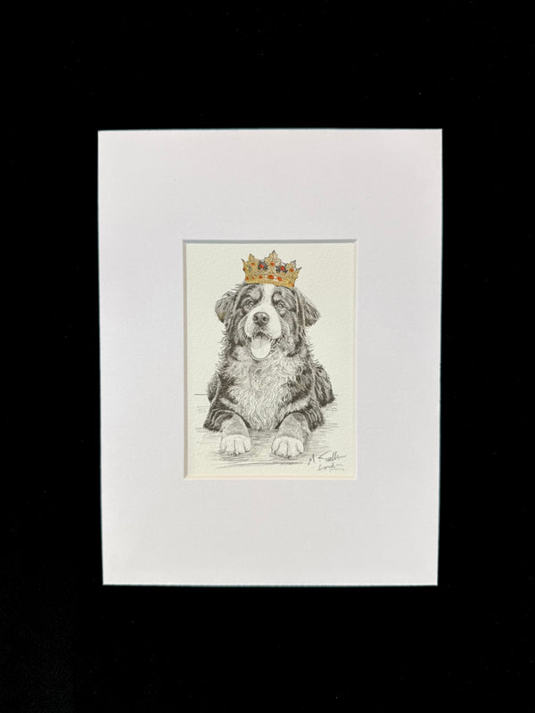 Bernese Mountain Dog