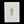 Poodle