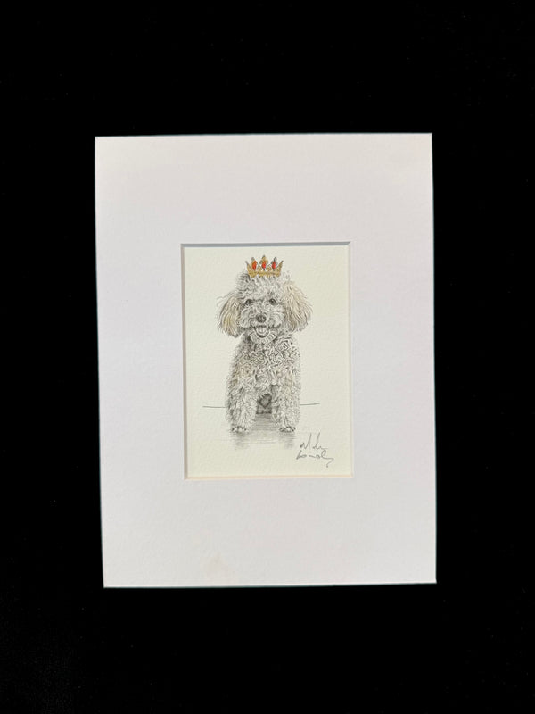 Poodle