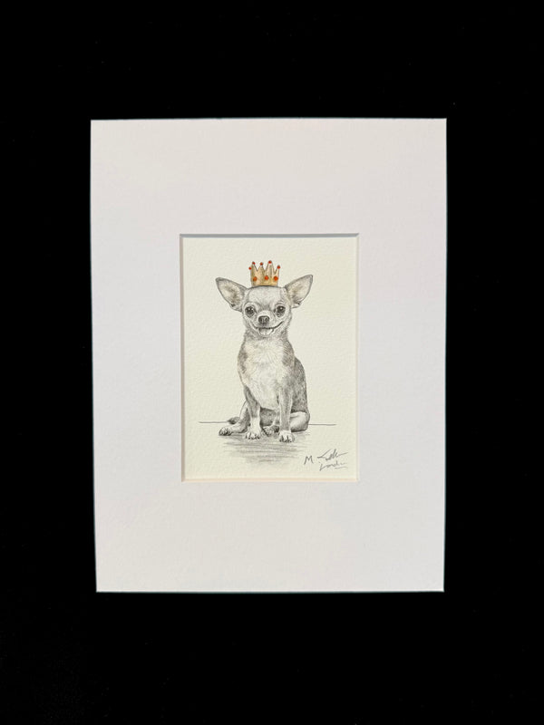 Chihuahua