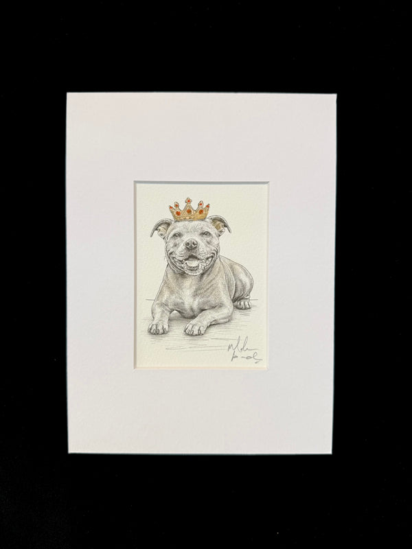 Staffordshire Bull Terrier