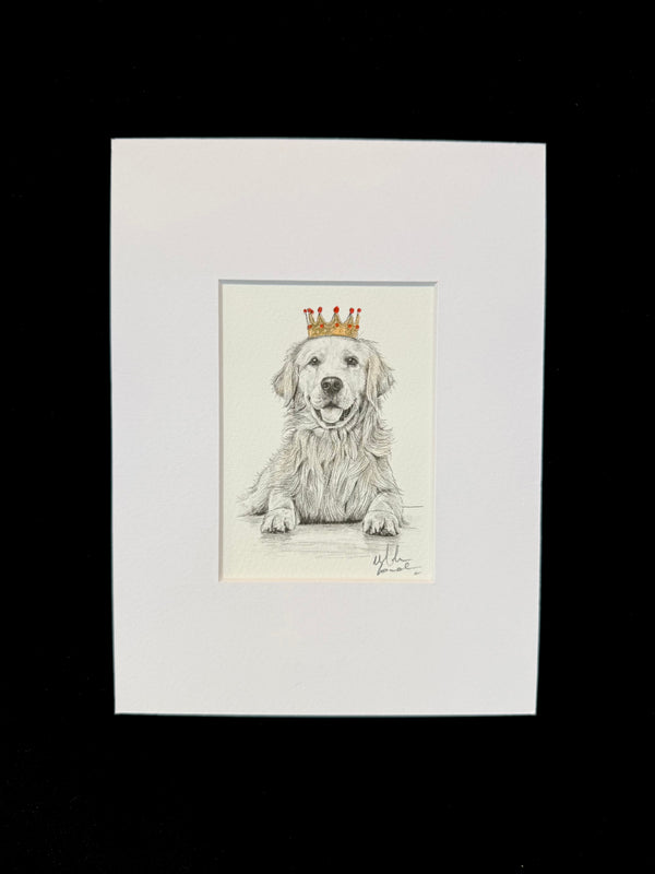 Golden Retriever