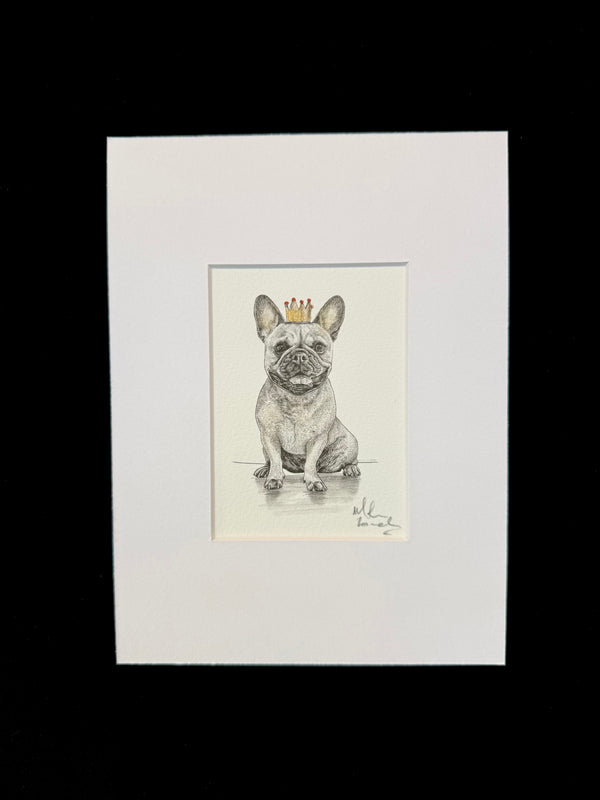 French Bulldog