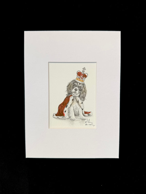 Cavalier King Charles Spaniel