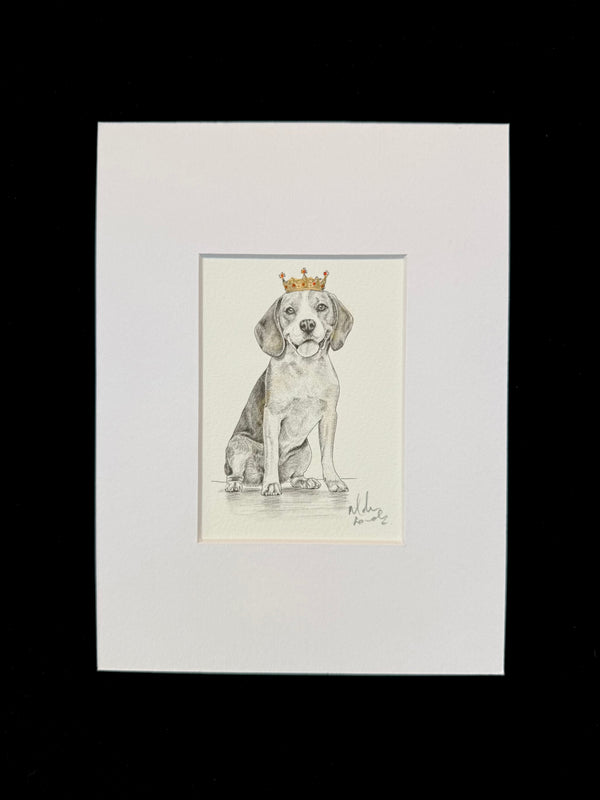 Beagle