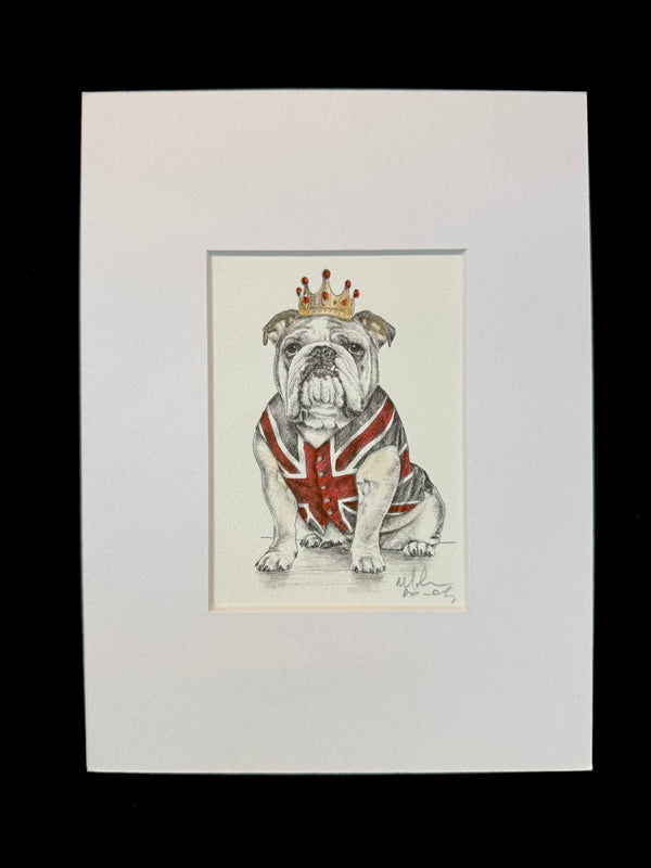 English Bulldog