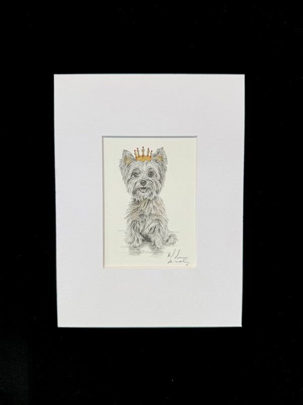 Yorkshire Terrier
