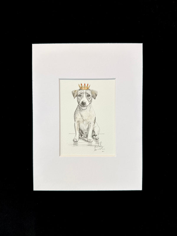 Jack Russell