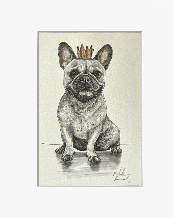 French Bulldog