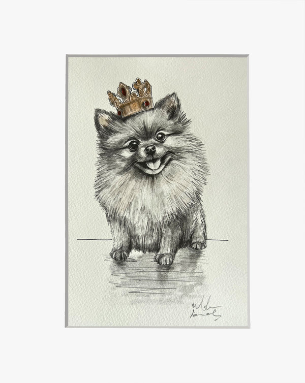 Pomeranian