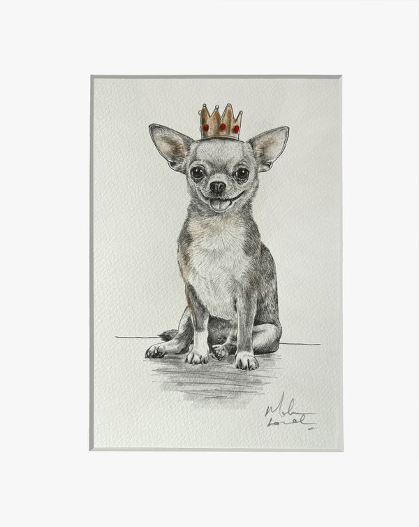 Chihuahua