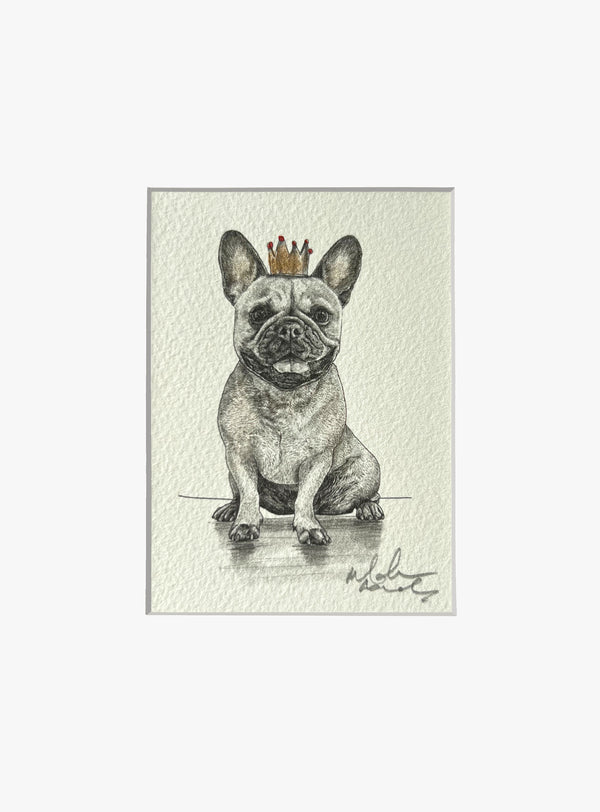 French Bulldog