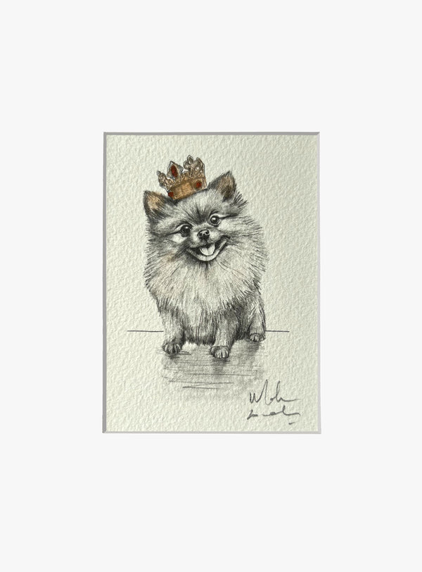 Pomeranian