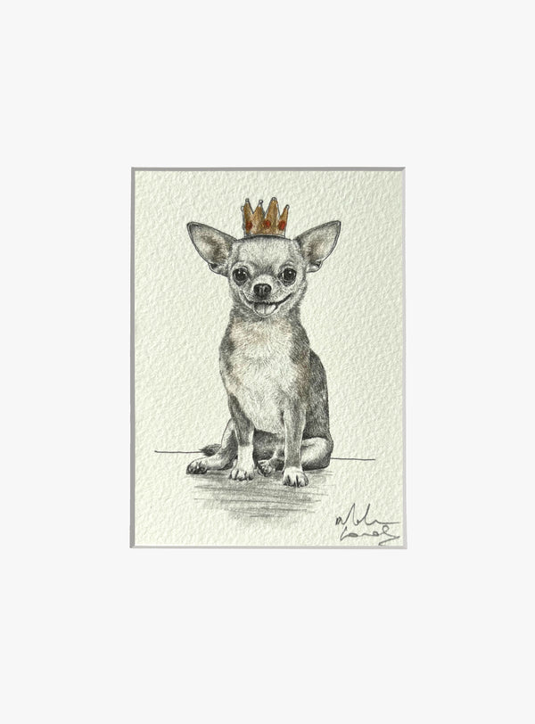 Chihuahua