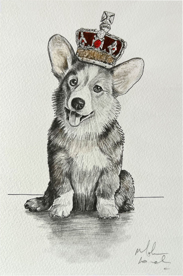 Corgi